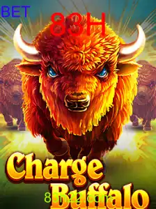 ChargeBuffalo